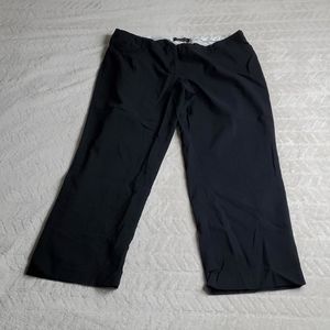 Plus Size Lane Bryant slacks
